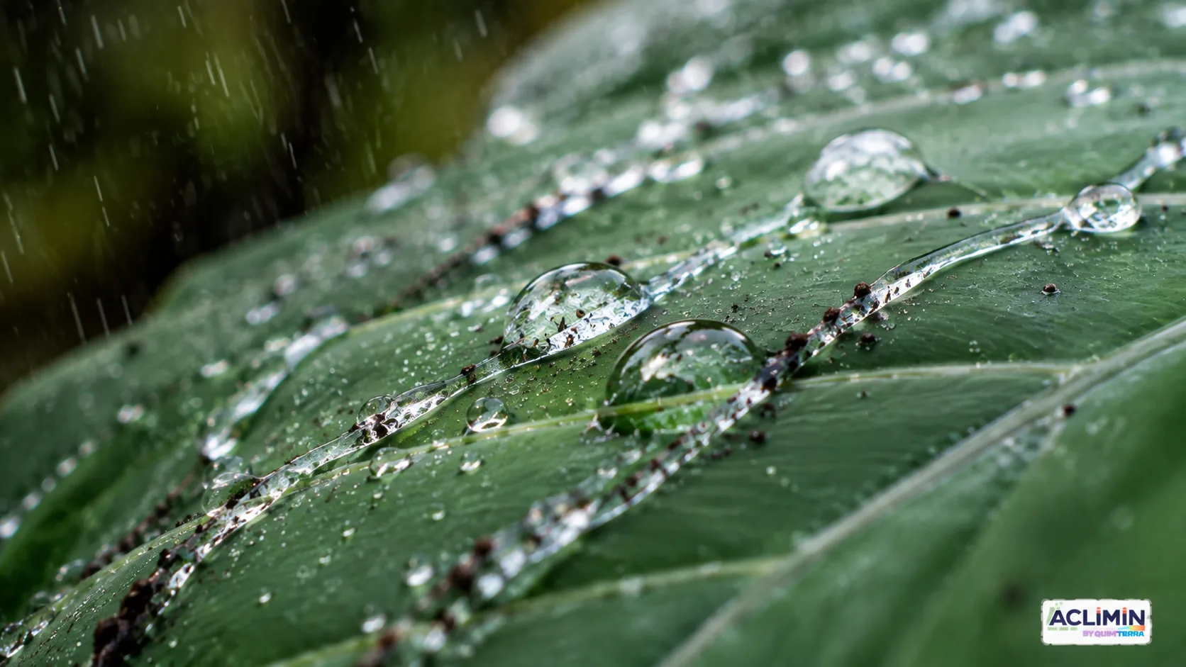 Efecto autolimpiante bajo la lluvia